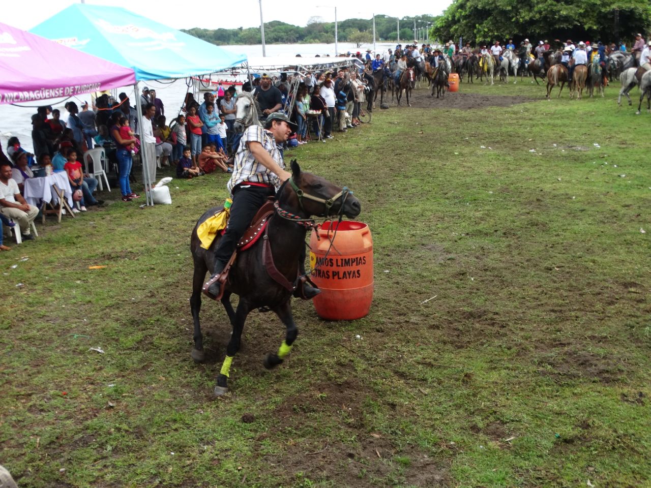 caballos